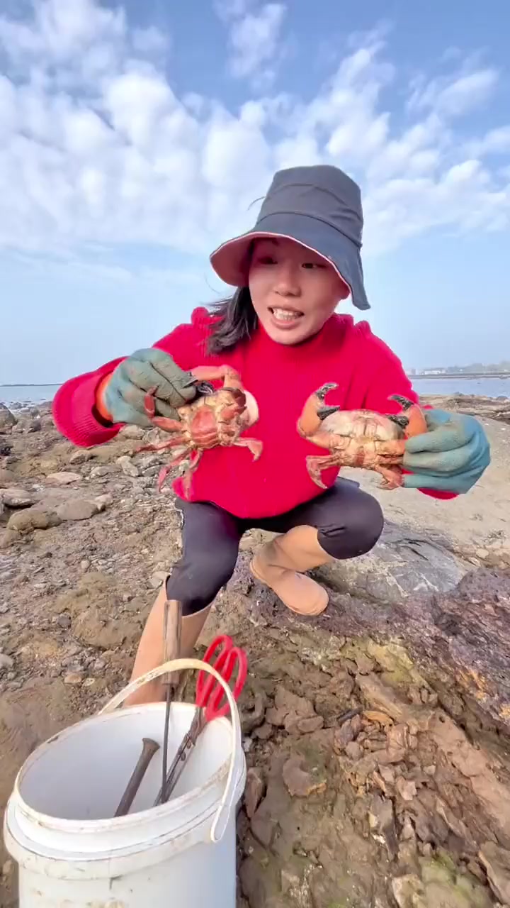 每天真实赶海抓面包蟹特别安逸,特别解压