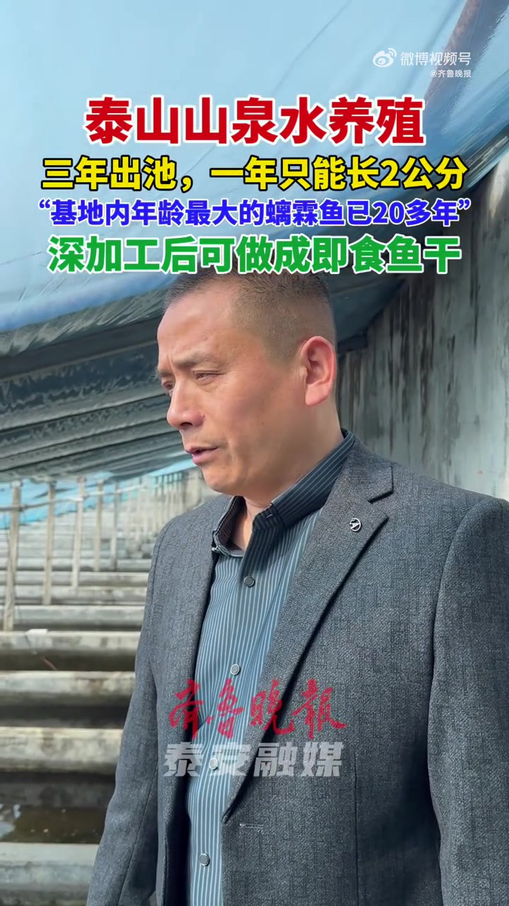 在泰山主峰周边十余公里范围内的溪流水潭中,孕育着一种泰山独有珍稀物种——泰山螭霖鱼。如今正