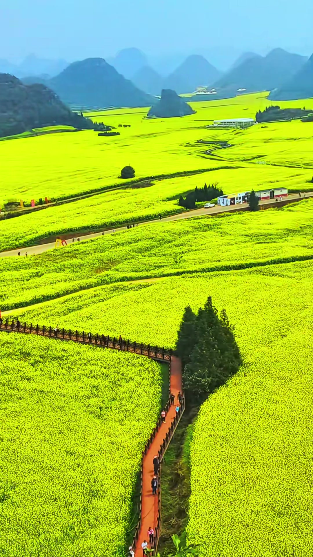 云南曲靖罗平金鸡峰丛景区