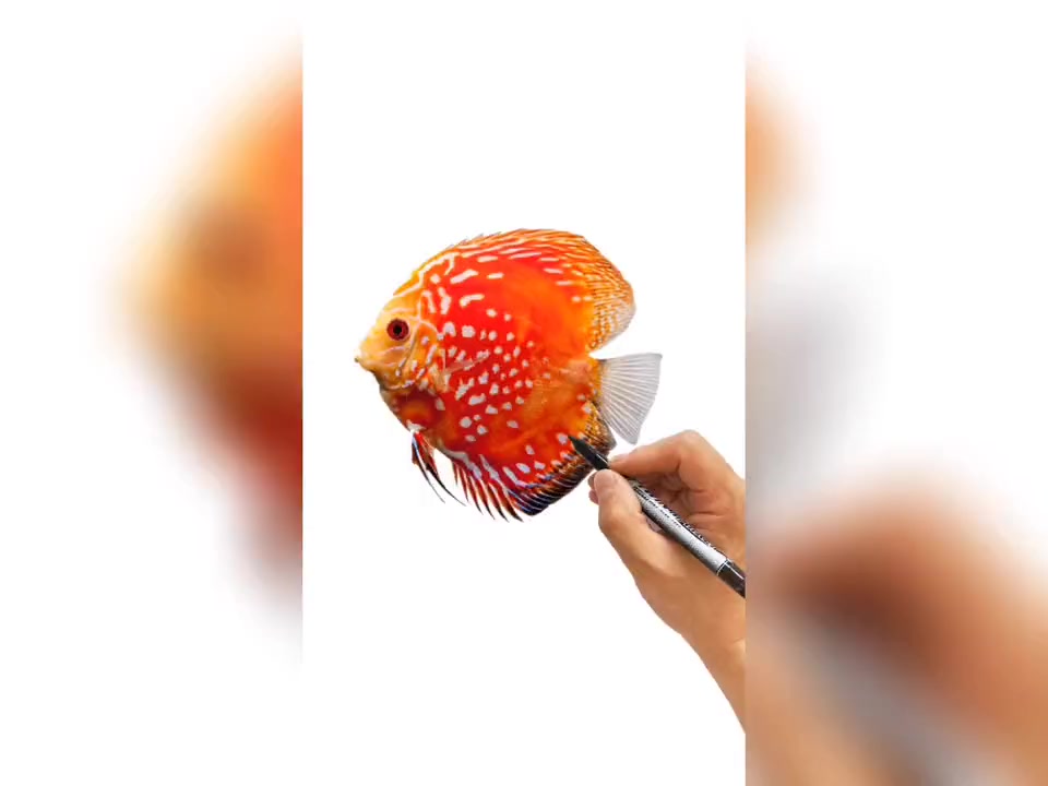 创意小鱼简笔画,轻松学会画可爱小动物