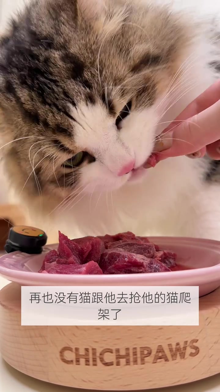 晚餐剪500克牛嫩肩吃吃