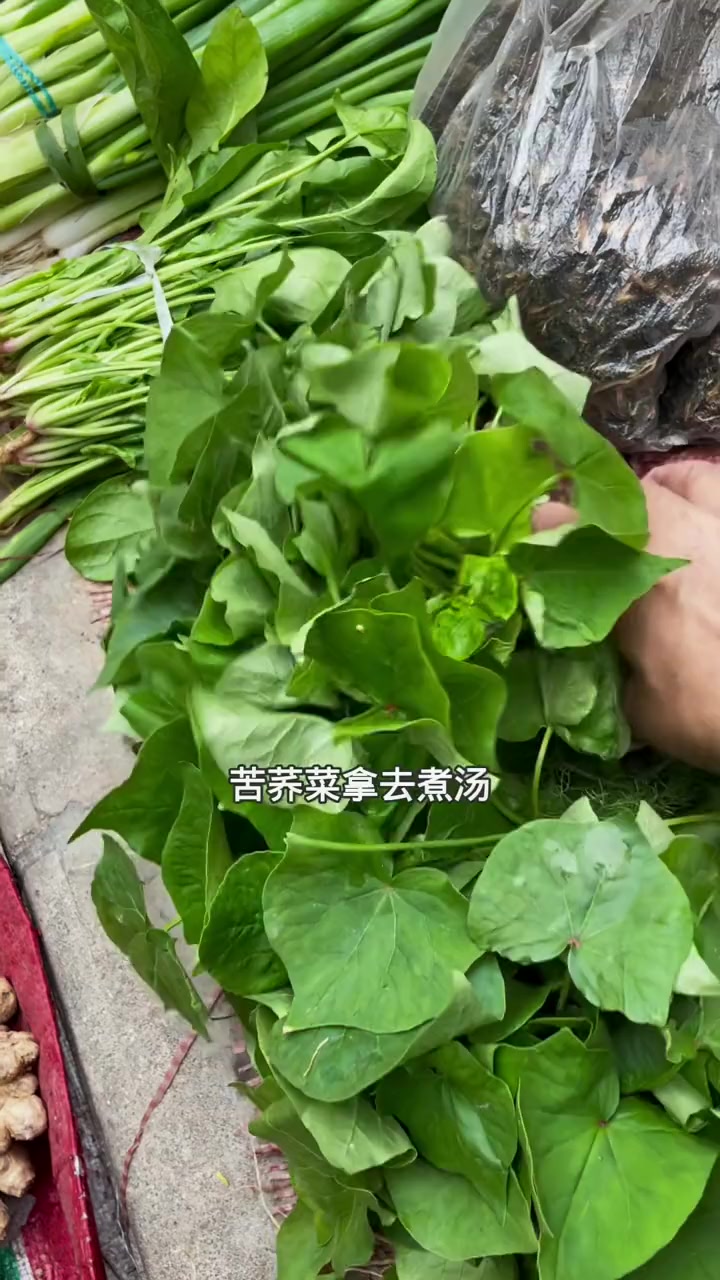 春天到了,云南又有很多可以吃的野菜了