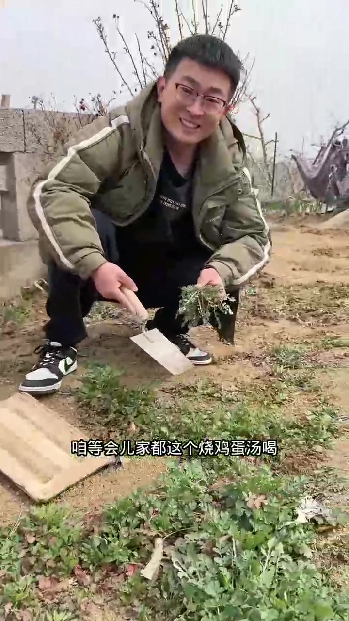 春天到来啦朋友们,我们收拾小菜园了,菜地里的菜都出来了,还有很多荠菜,我们要挖一点荠菜回家