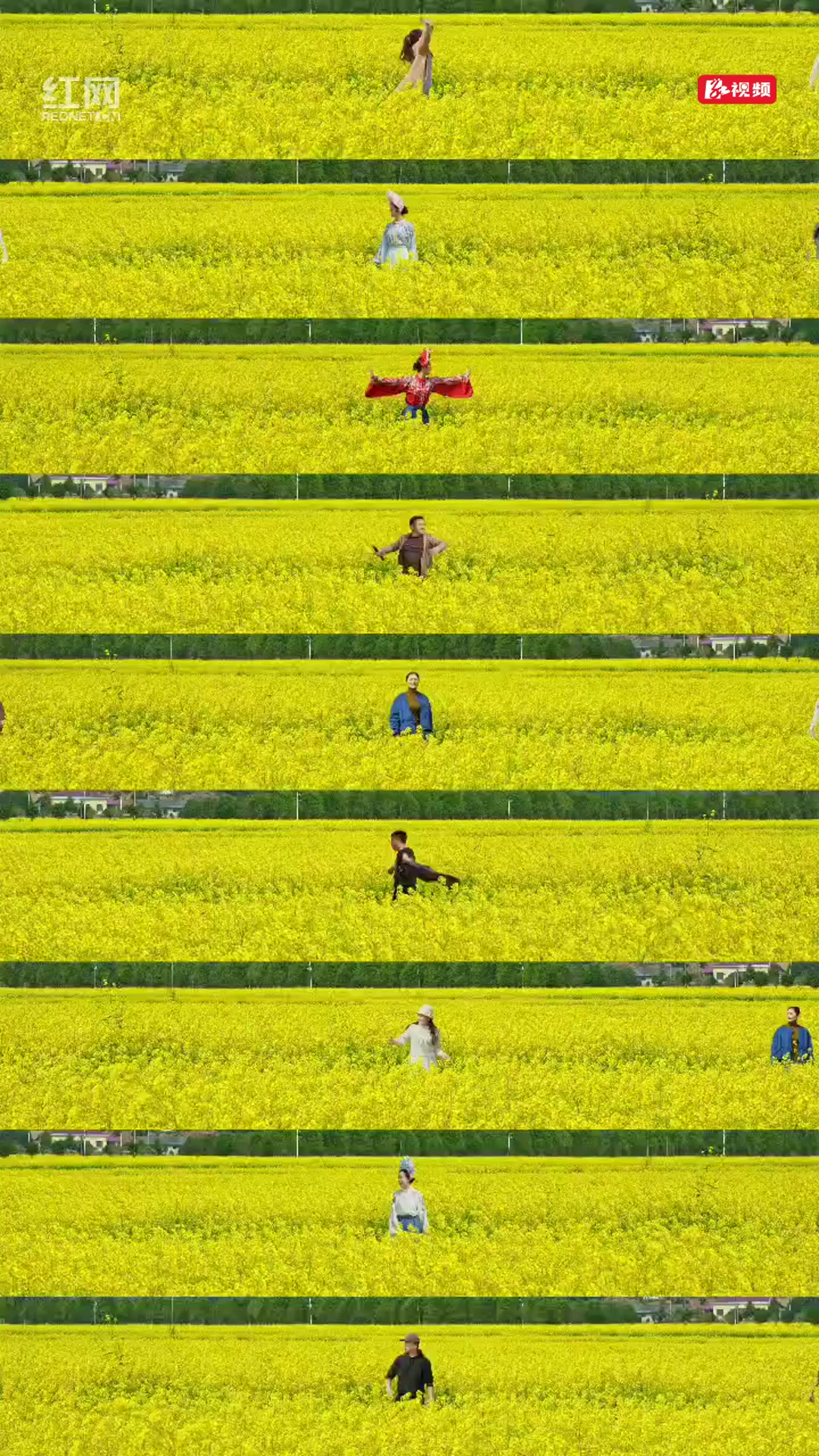 花草新闻社丨油菜花海如何拍大片？游客在株洲洪塘村拍出“新花样”
