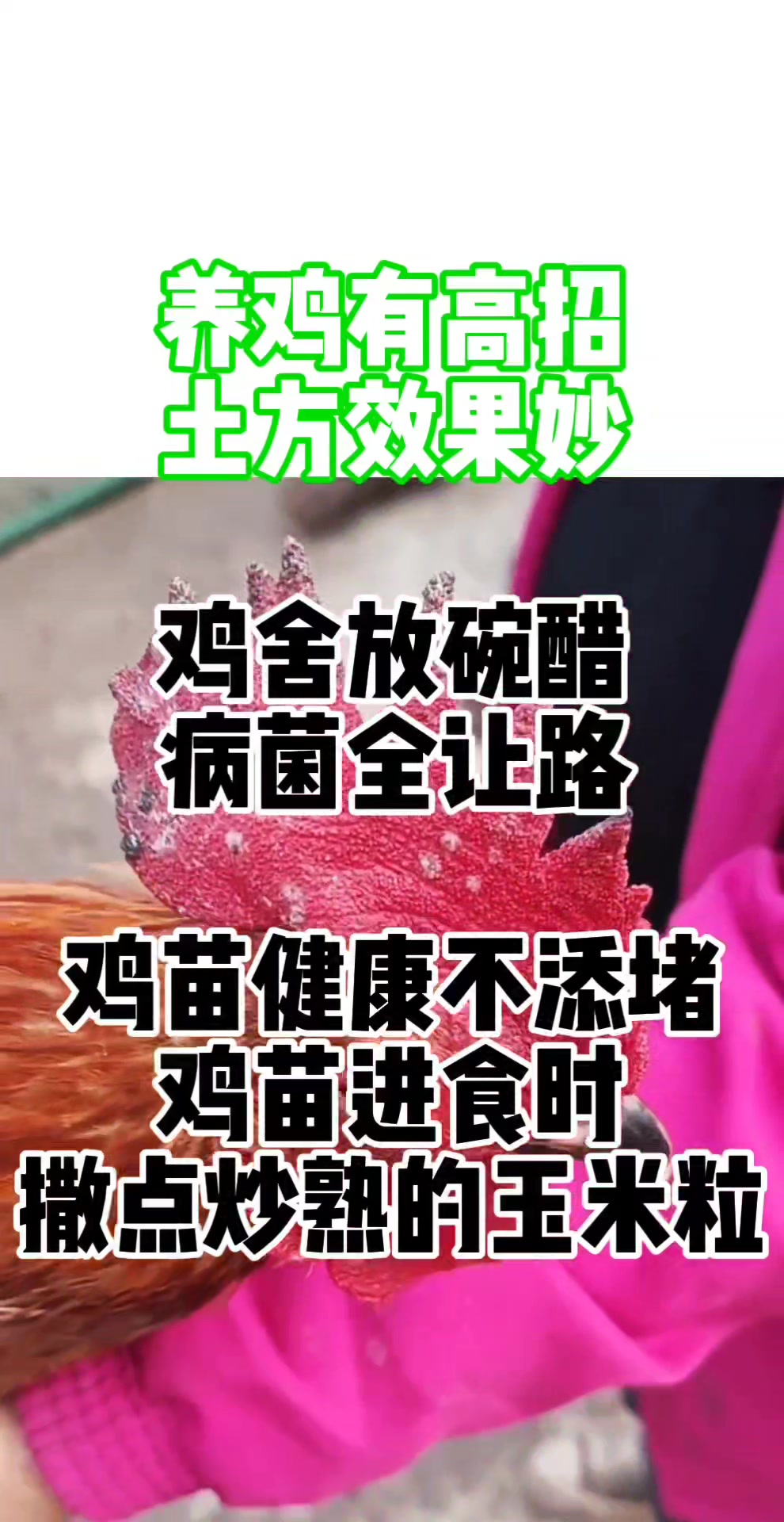 分享视频