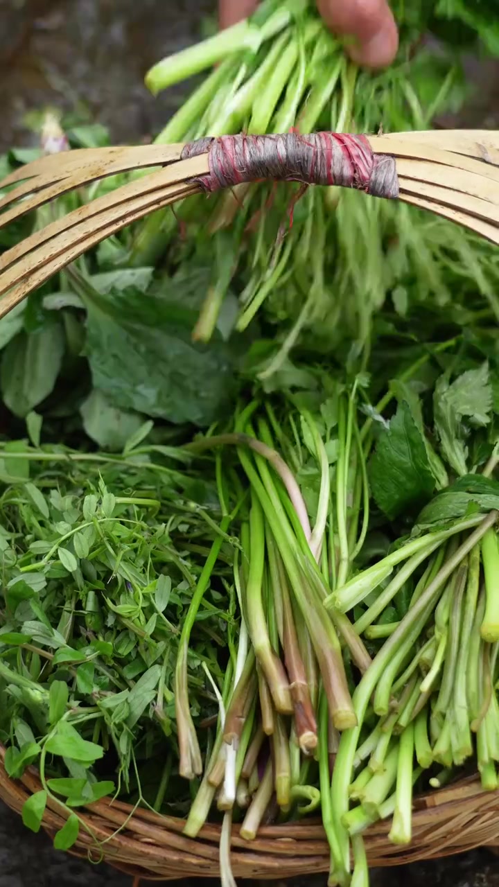 一口吃掉春天的最好方式,就是这样来一顿野菜火锅宴