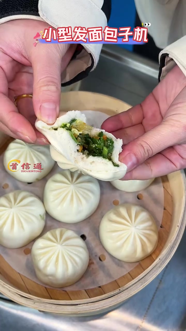 包子机 小型包子机 发面包子机 全自动包子机