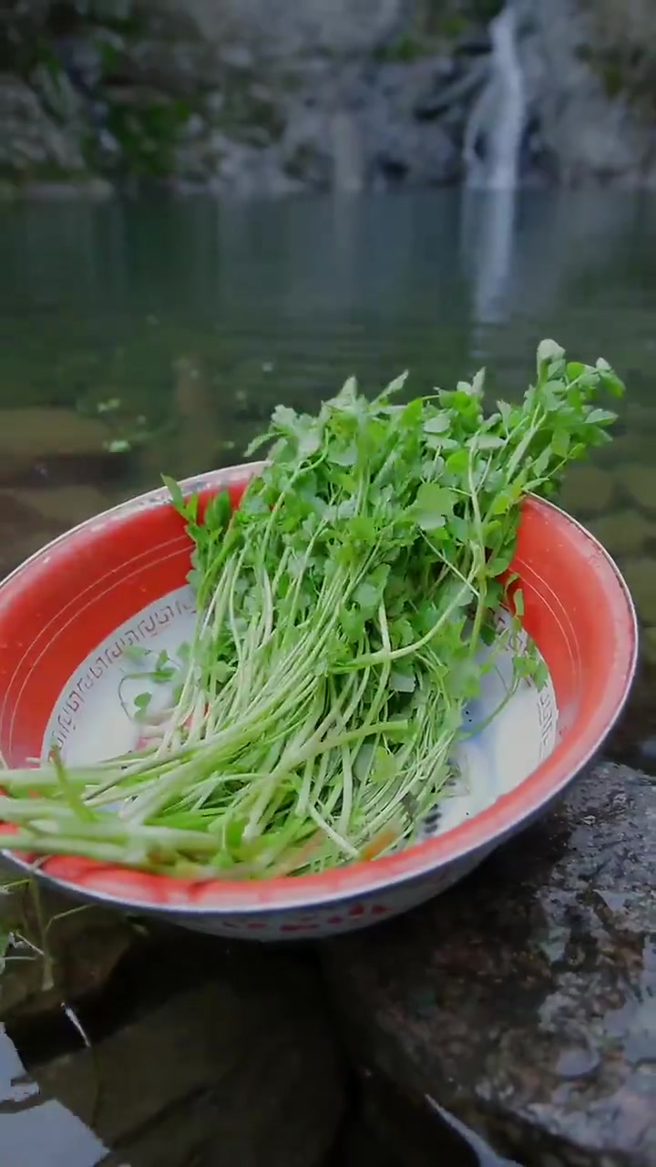 春天的野菜 河里的小鱼小虾 这才是山村的味道