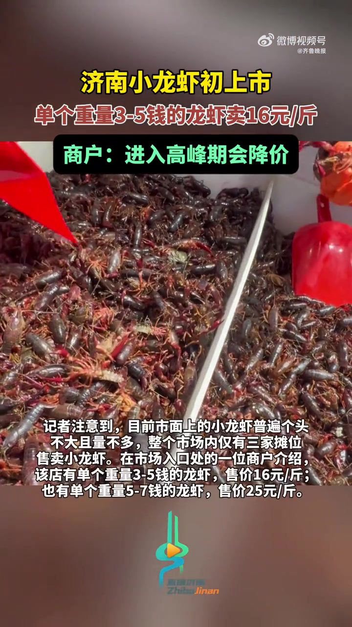 「济南小龙虾初上市,价格较贵市民“看多买少”」目前,济南部分市场已开始售卖小龙虾,但由于还