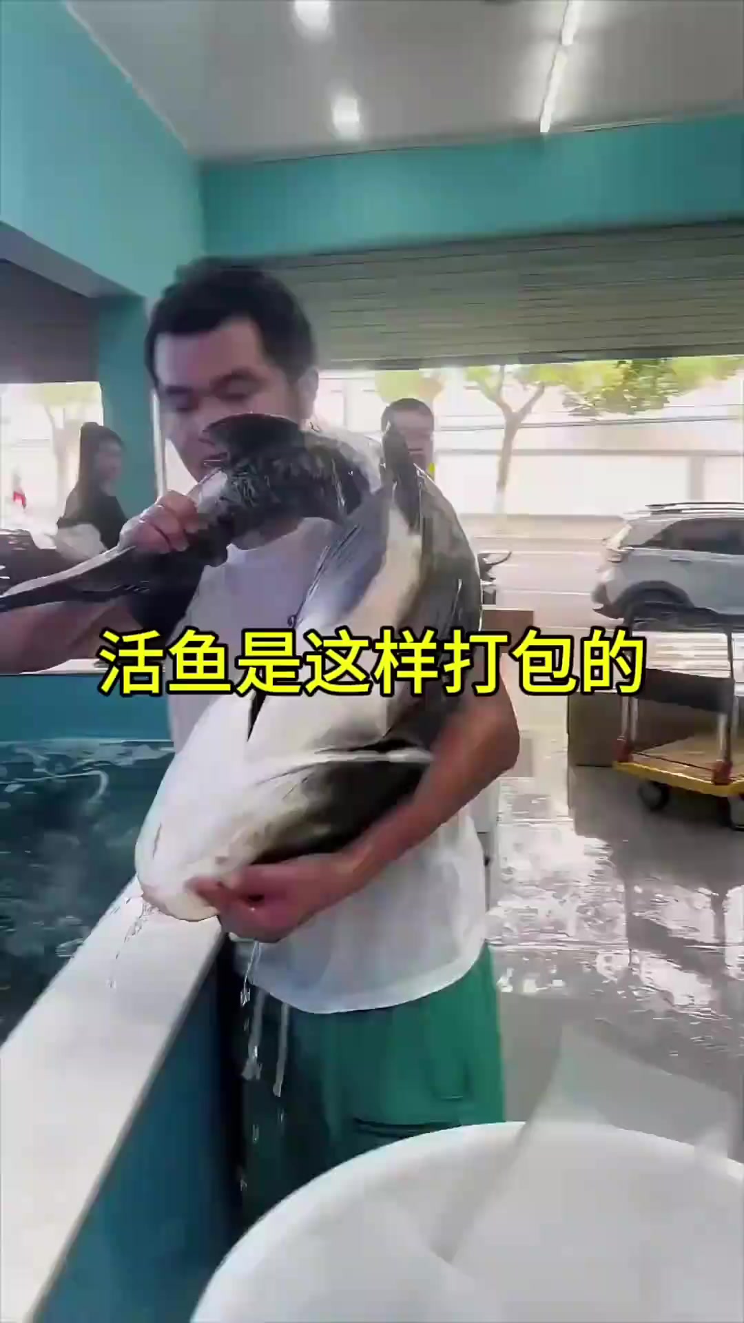 揭秘网购买活鱼的包装过程:从捞鱼到打包全记录