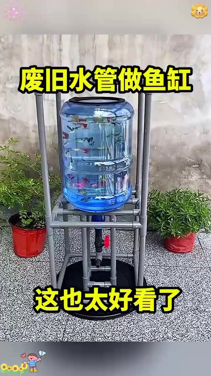 老表用废旧水管打造鱼缸,众鱼共处换水难题引人关注