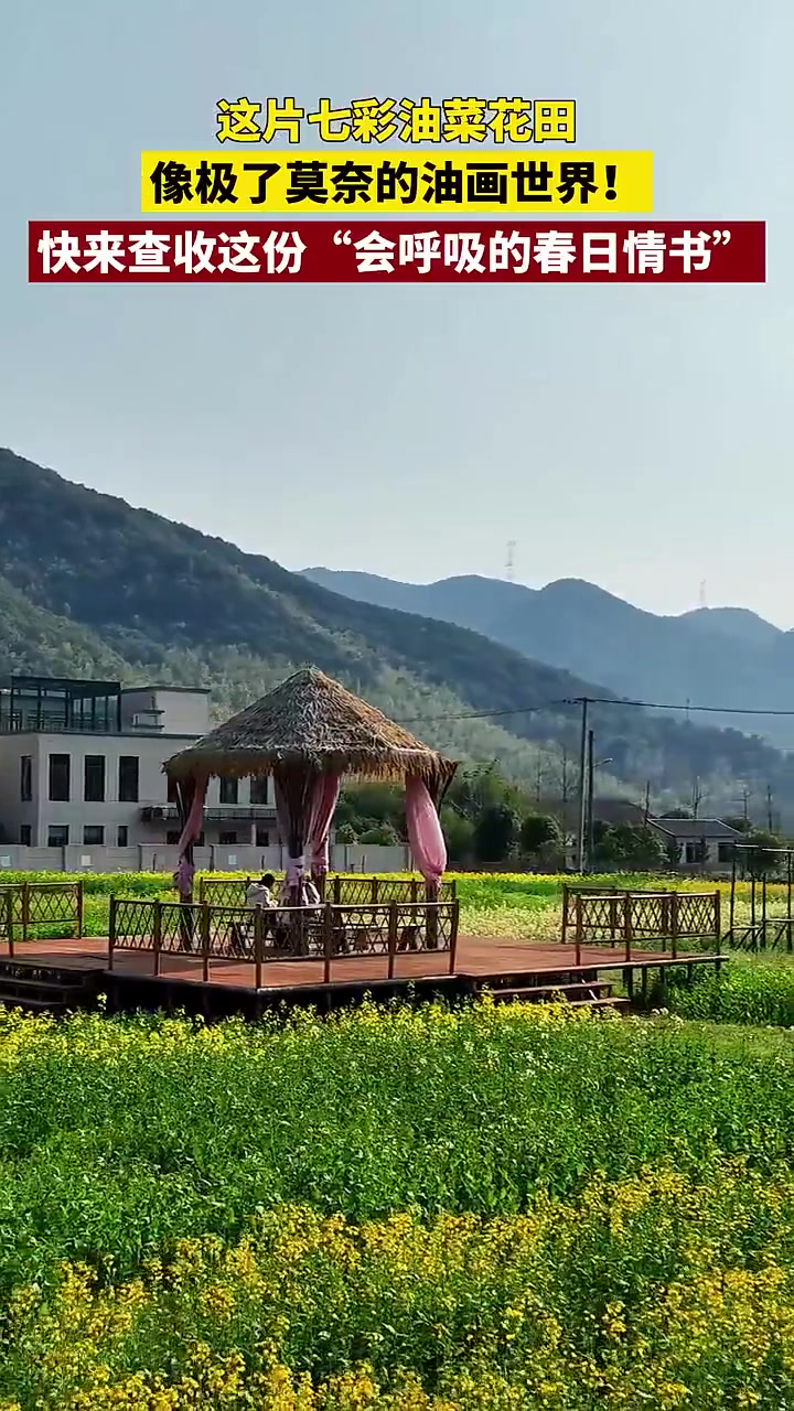 走,奔赴一场七彩油菜花海!