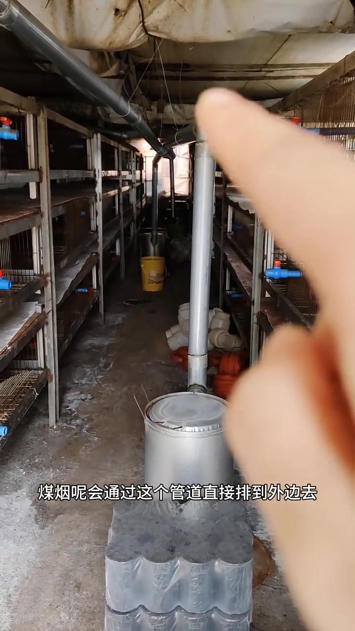 家里有猪圈,有老房子的朋友,可以抓紧时间准备鸡舍了!开始养鸡……
