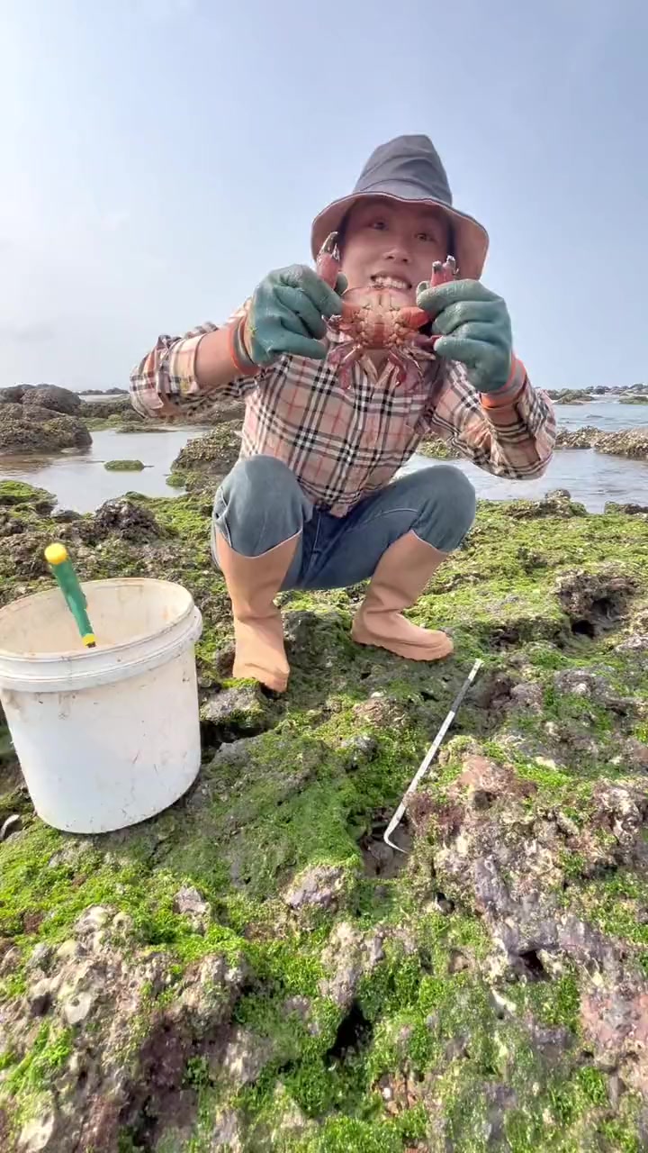 乡村赶海生活是每天必不可少的,真实赶海抓面包蟹真的特别治愈心情
