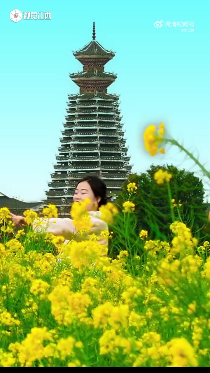 「江西峡江:踏青赏花」春天里的多彩江西 三月正是油菜花绽放的时节,近日,走进江西省吉安市峡