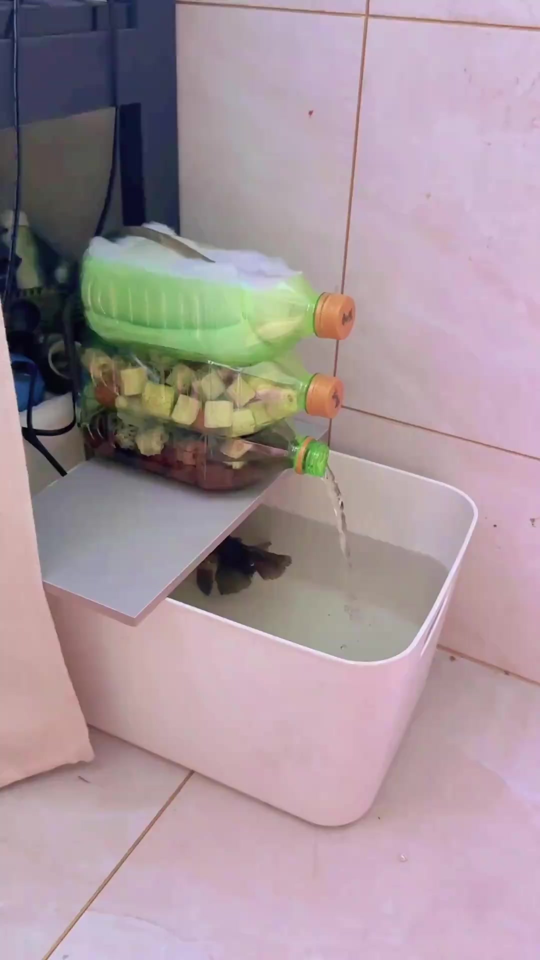 用废旧塑料瓶打造简单鱼缸过滤器,轻松养鱼小妙招!