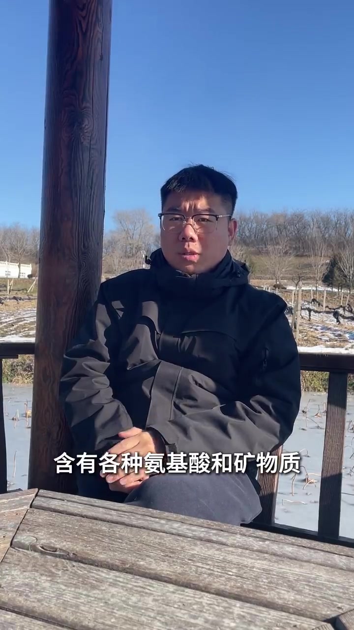 源食生活有机农人——王晓凤 有机藏香猪肉质鲜美口感正 蛋白质高脂肪少猪肉