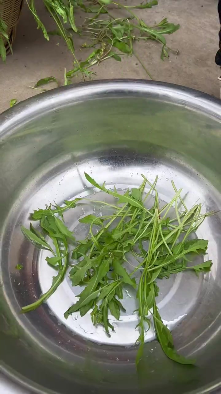 今天蒸的荠菜包子,太好吃了