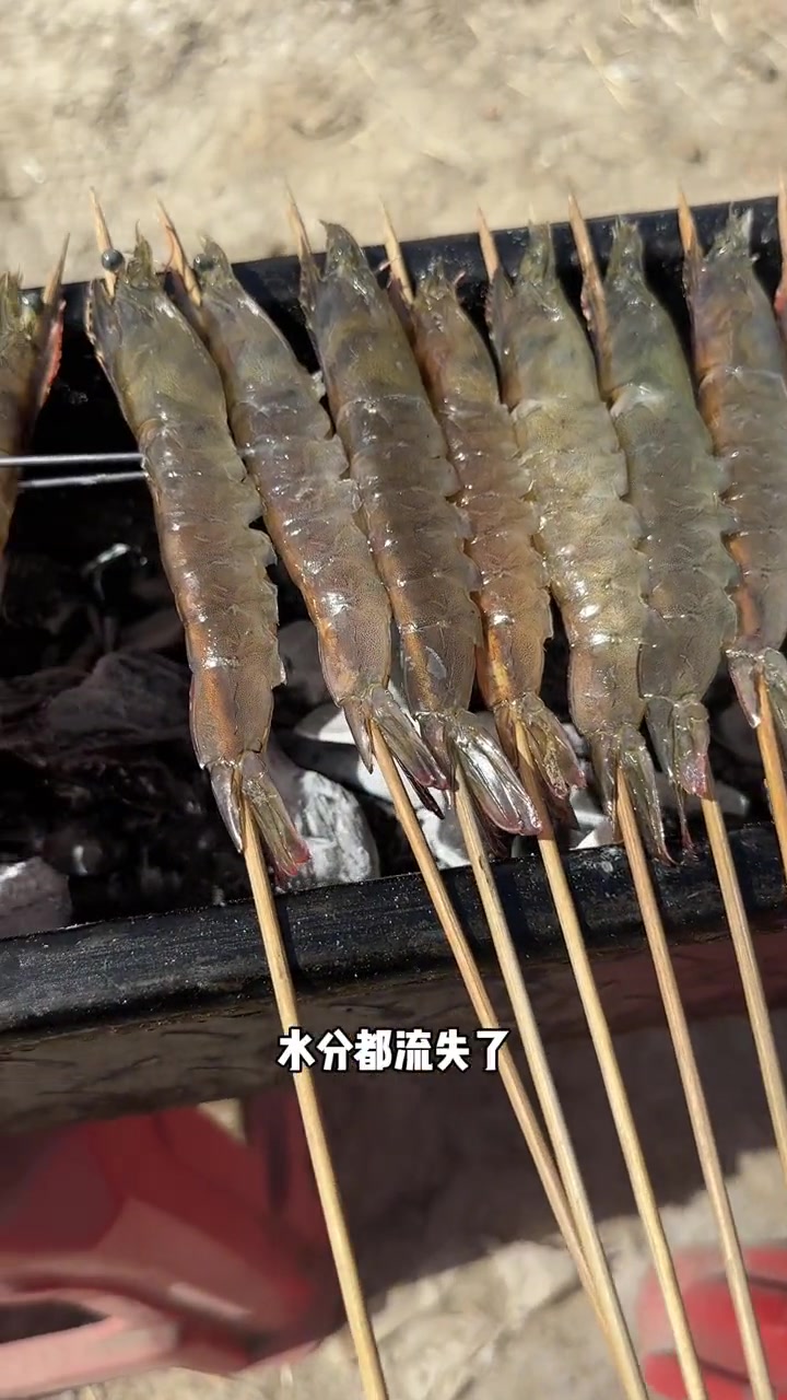 炭烤大虾教程,野外撸串真香
