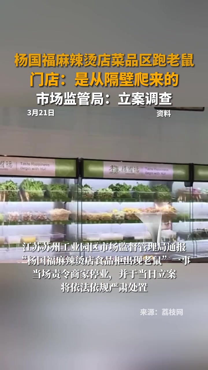 苏州杨国福麻辣烫一门店菜品区跑老鼠,门店:是从隔壁爬来的,市场监管局:立案调查