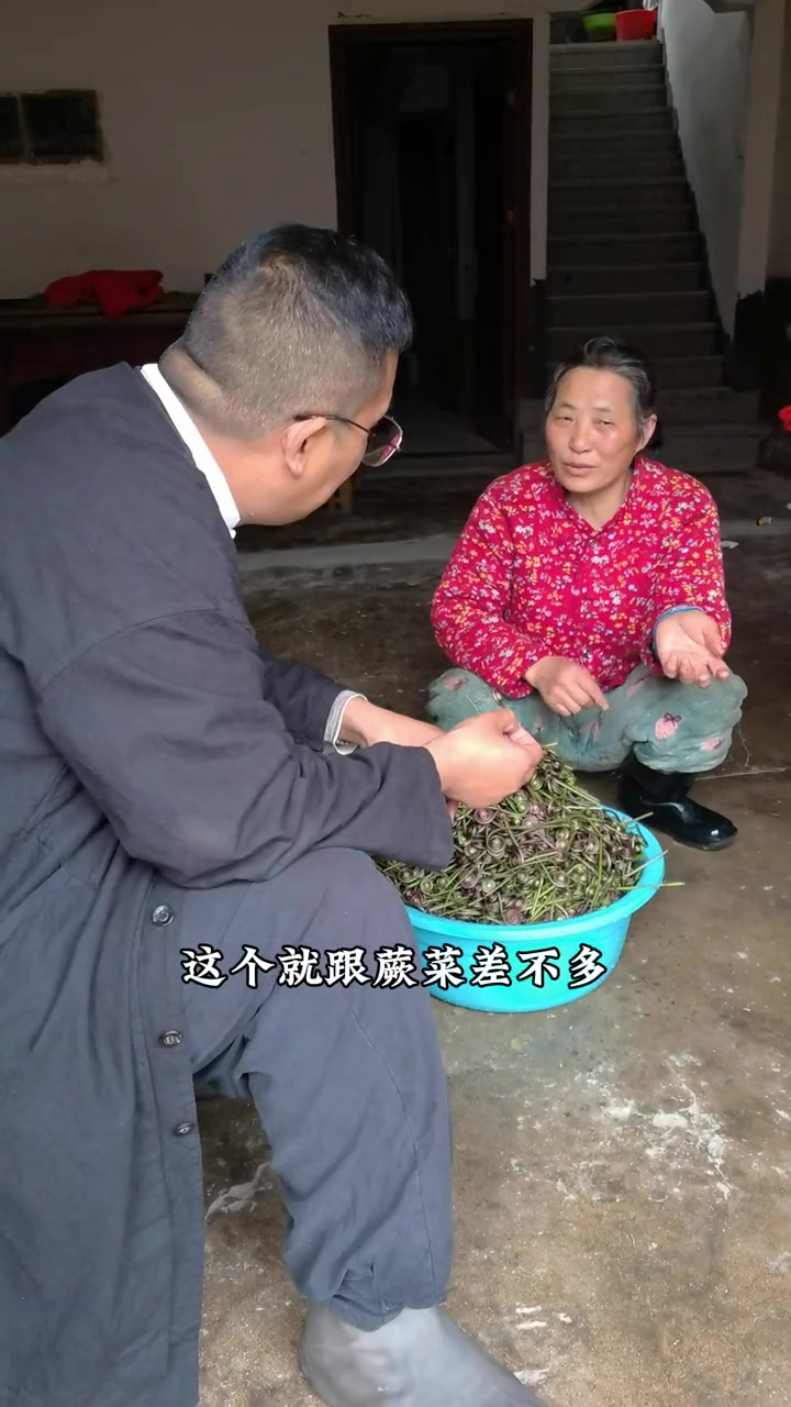 牛毛广你吃过没有,不是蕨菜