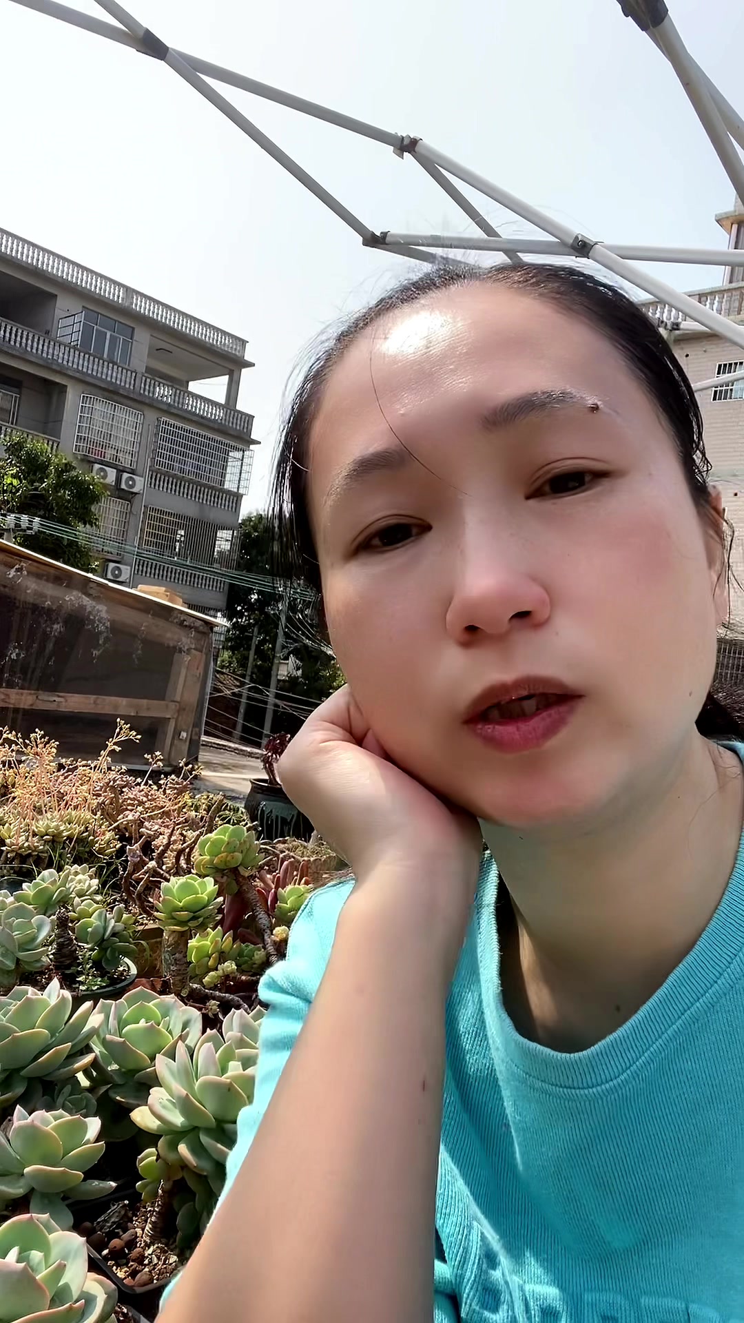 种多肉四年你知到我有多疯狂吗?有没有同款?
