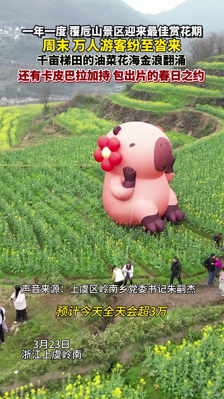 这个周末,浙江绍兴上虞覆卮山火爆出圈,万人大军涌入春日限定版美好!(供稿:上虞融媒章怡晨 