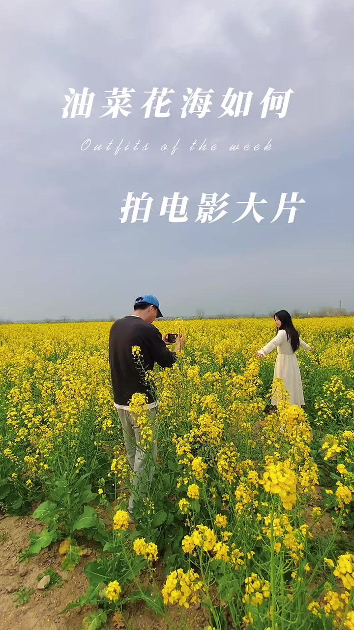 四个镜头教你油菜花海怎么拍大片