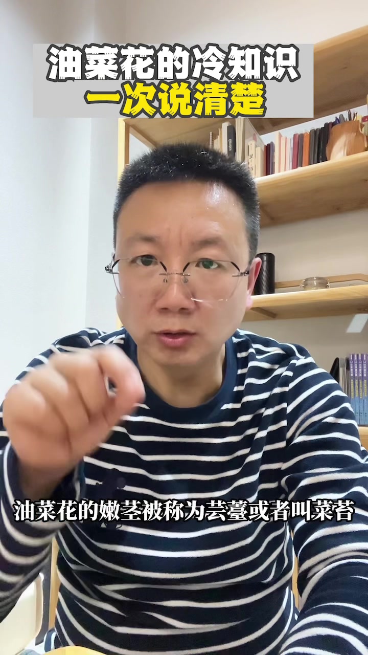 油菜花,你不知道的冷知识