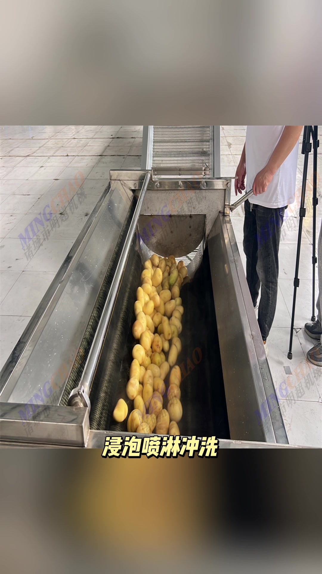 根茎类蔬菜清洗加工流水线