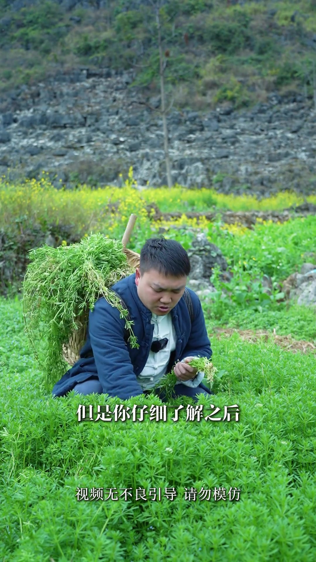 春天这些野菜你们认识吗?