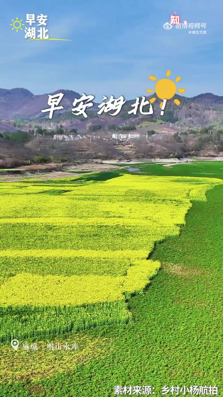 阳光倾泻而下,洒在樱花树上,粉红花瓣随风飘舞,仿佛在提醒我们:生活再忙,也别错过身边的诗意