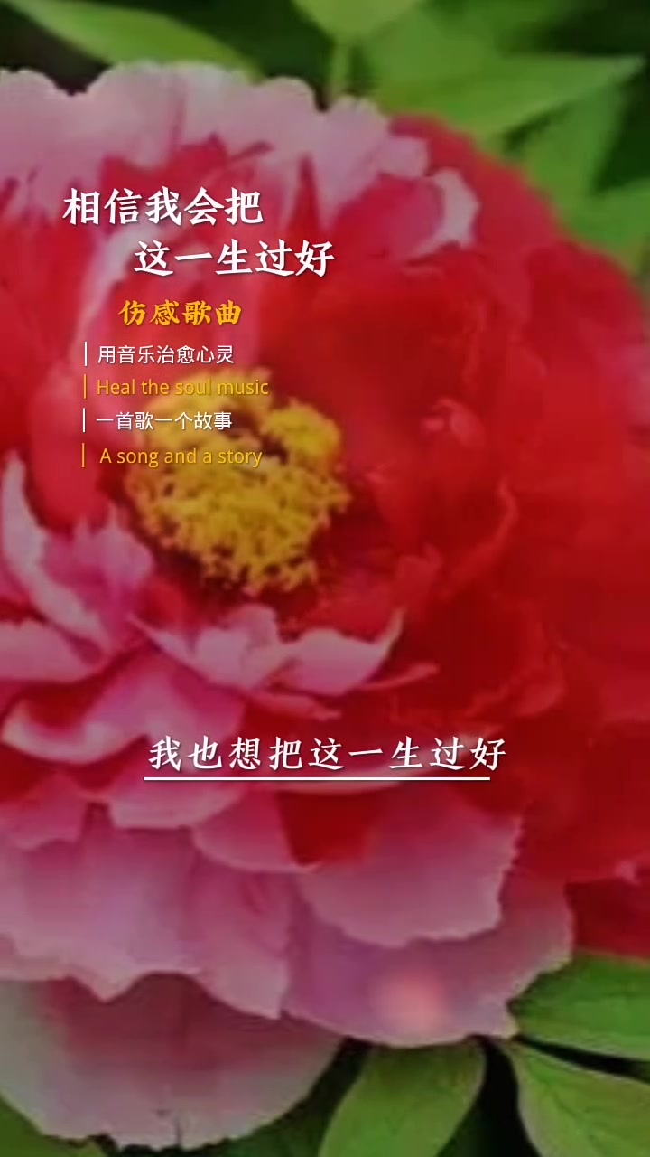 我也想把这一生过好,却把生活过的一地鸡毛!