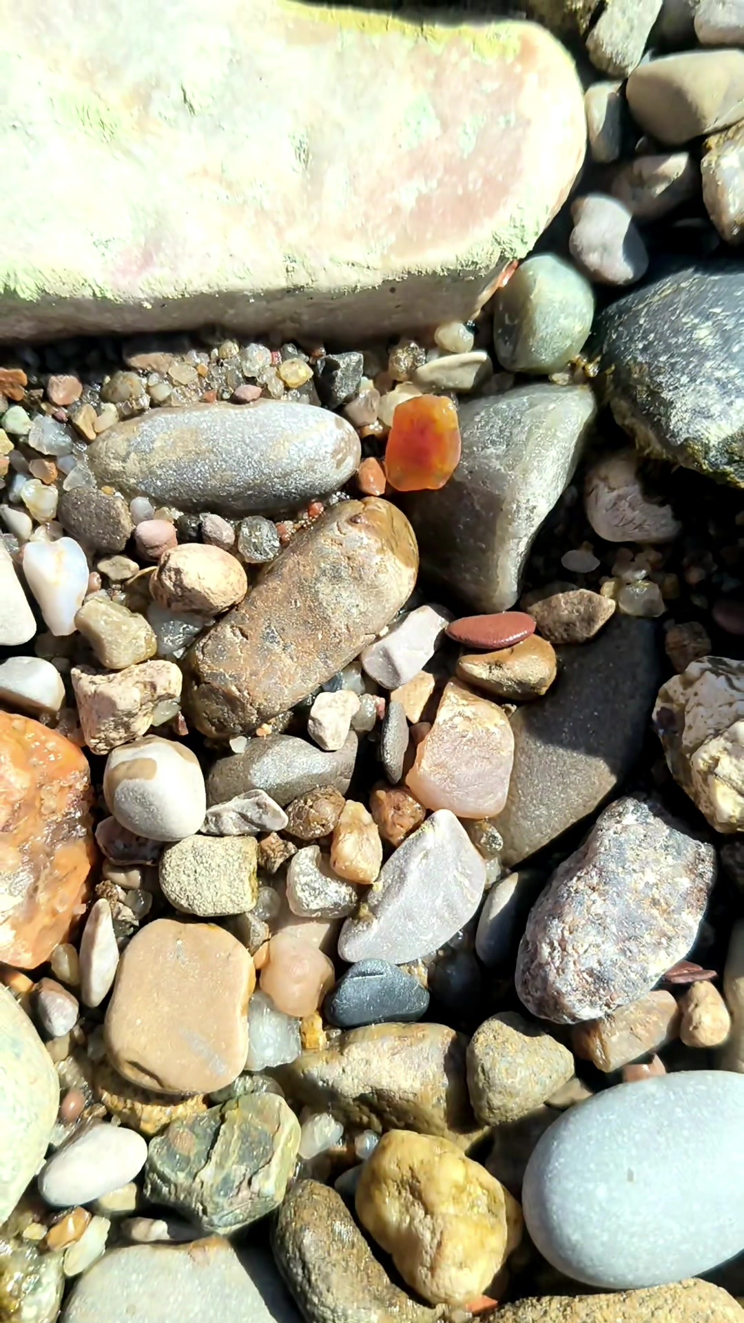 又到了枯水季节,看看黄河边捡的玉石玛瑙是什么样子吧