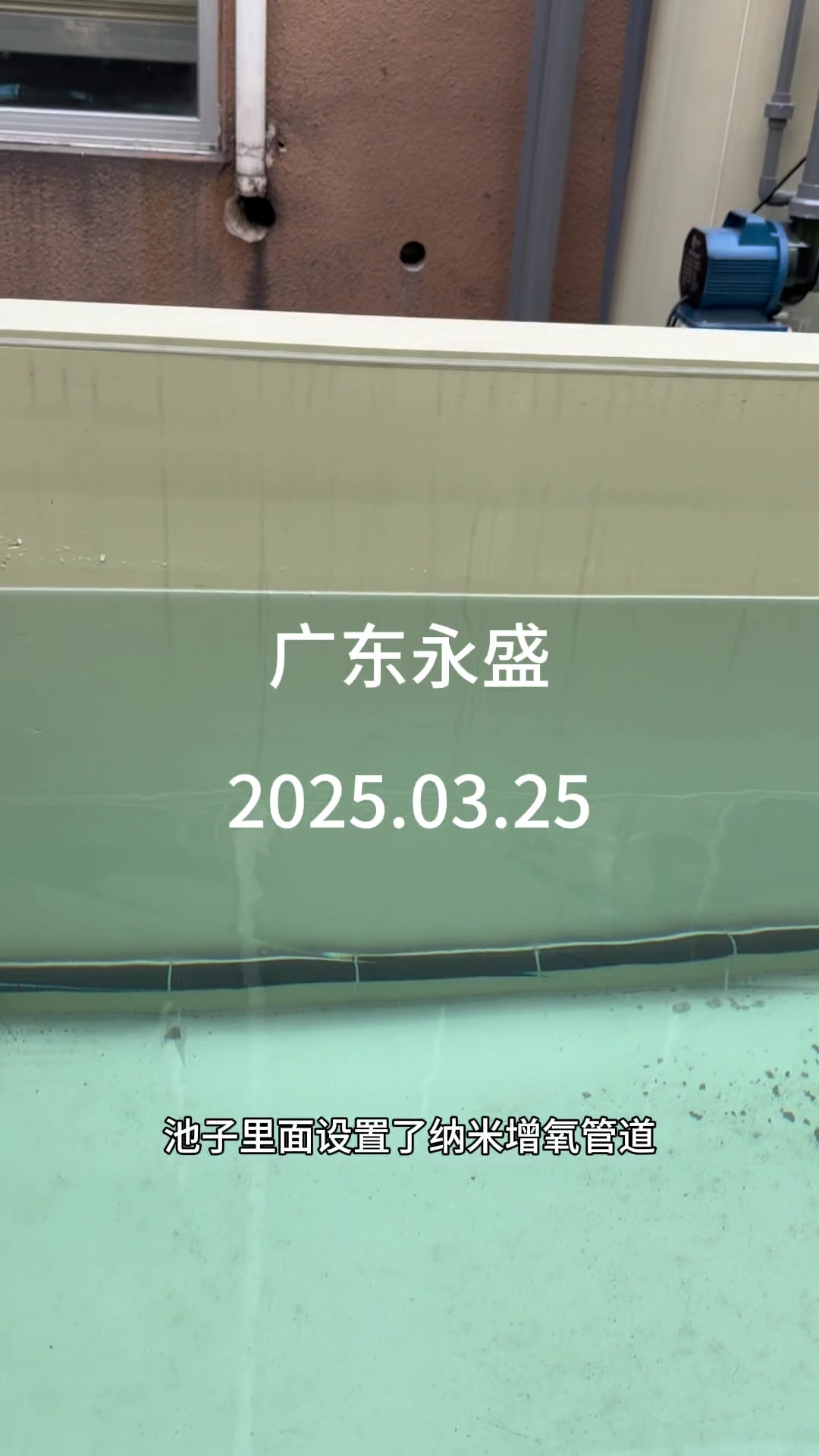方形池循环水养殖系统#庭院鱼池#过滤系统#源头厂家直供