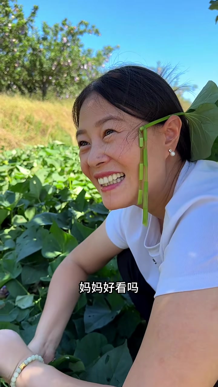 盼着牛牛上幼儿园能帮娘收秋,结果一个星期就上了2小时,最近娘忙秋很累,一个地瓜叶做了三个菜