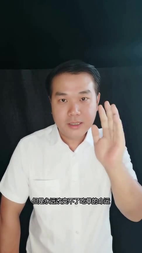 动物们的生存法则:从草食到肉食,每个物种都有它的命运