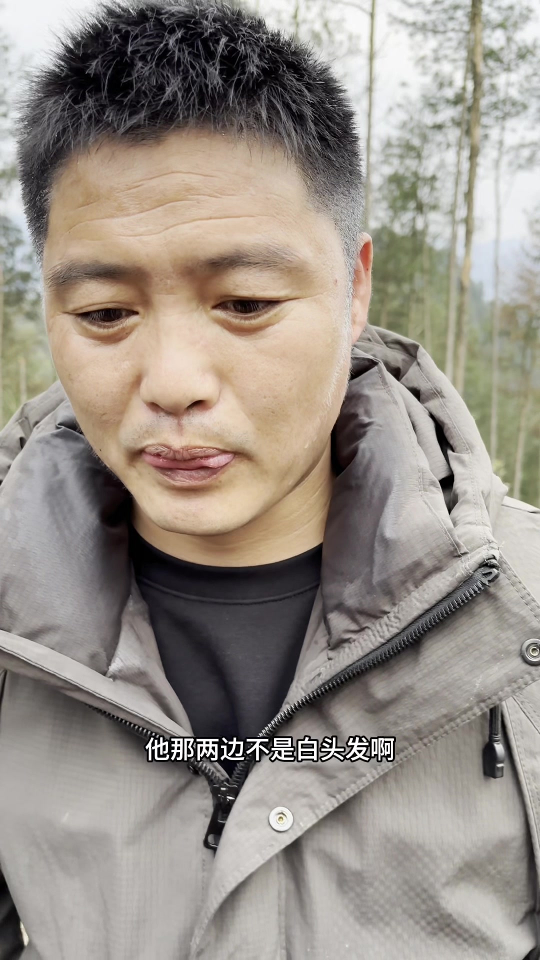 刺嫩芽都放风了,我准备要回家了,等不到蕨苔全部出齐了