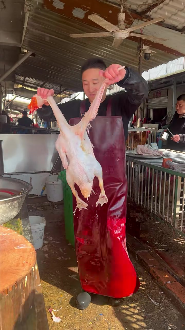 离奇!老鹅肚子里有“乾坤”?客人直呼捡到了宝