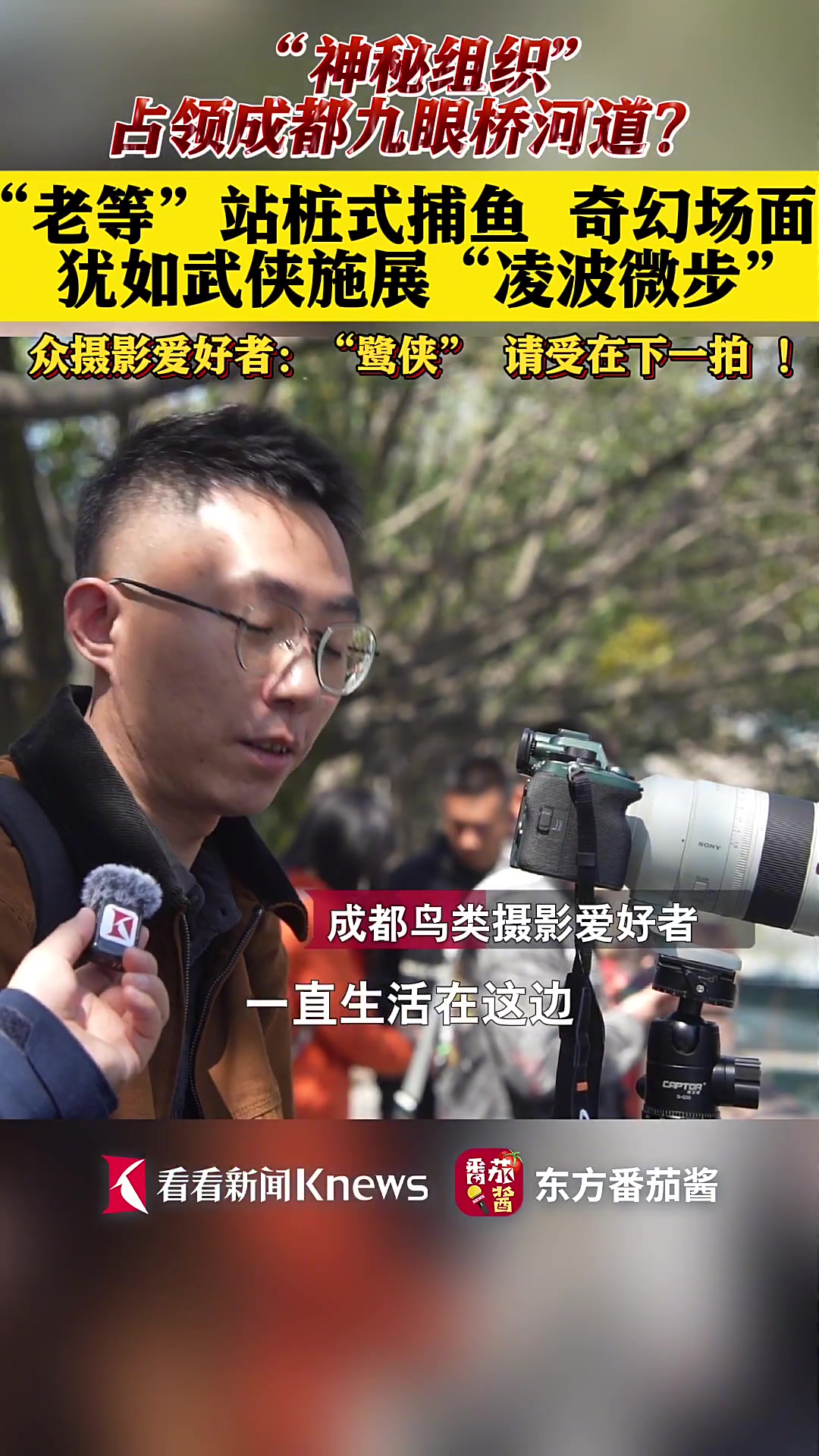 成都:“老等”锦江捕鱼 犹如侠客施展凌波微步