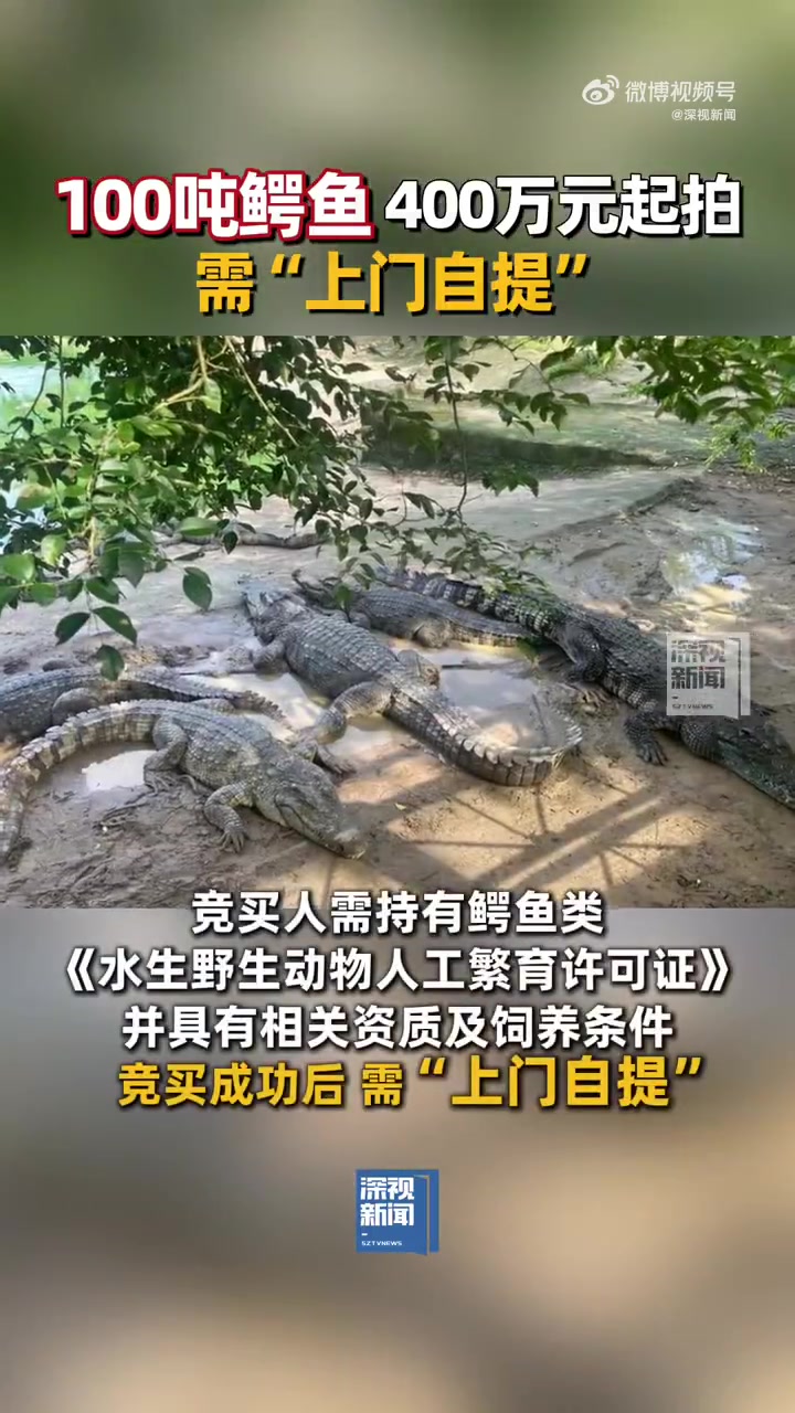 「100吨鳄鱼400万元起拍 需“上门自提”」近日,深圳市南山区人民法院在阿里资产平台,对