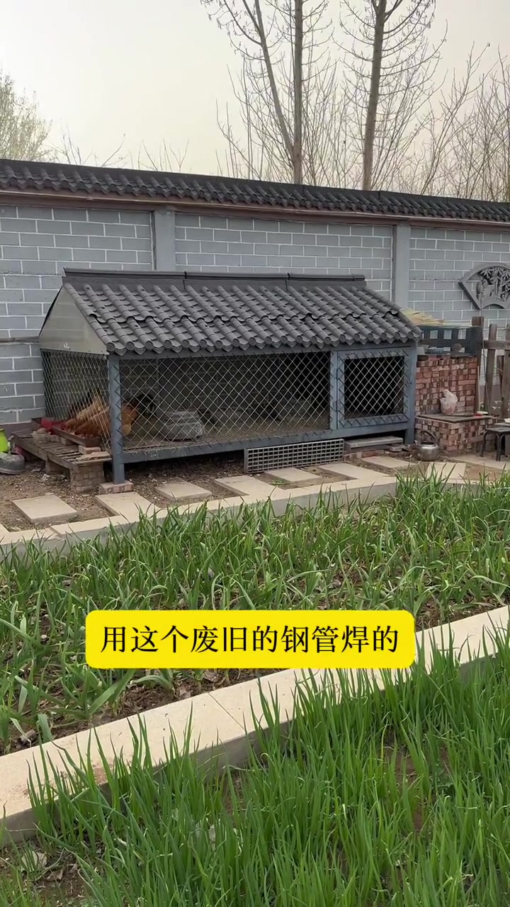 应很多朋友要求,今天给大家简单说一下小院里鸡笼鸡窝的大概情况,您如果想做可以根据你庭院情况