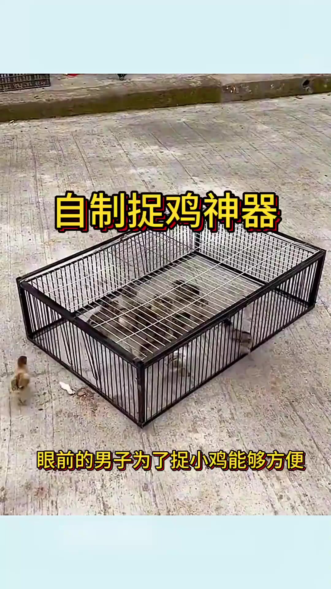 “创新捉鸡神器和陀螺转动技巧,朋友们快来围观!”