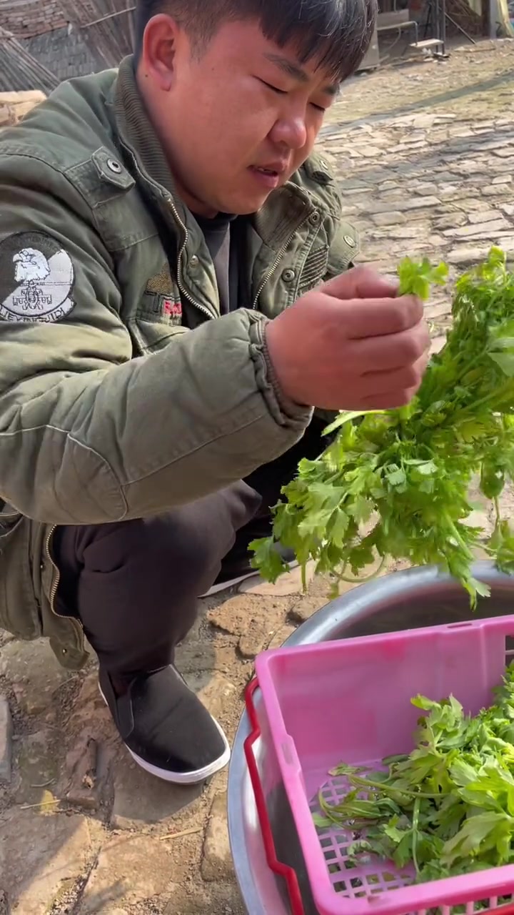 春天的时候,野菜都长出来了,特别适合吃蒸菜。今天做了一点味道还不错