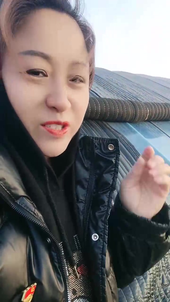 看着大棚里各种绿油油的小菜,天气咋冷心里也热乎!