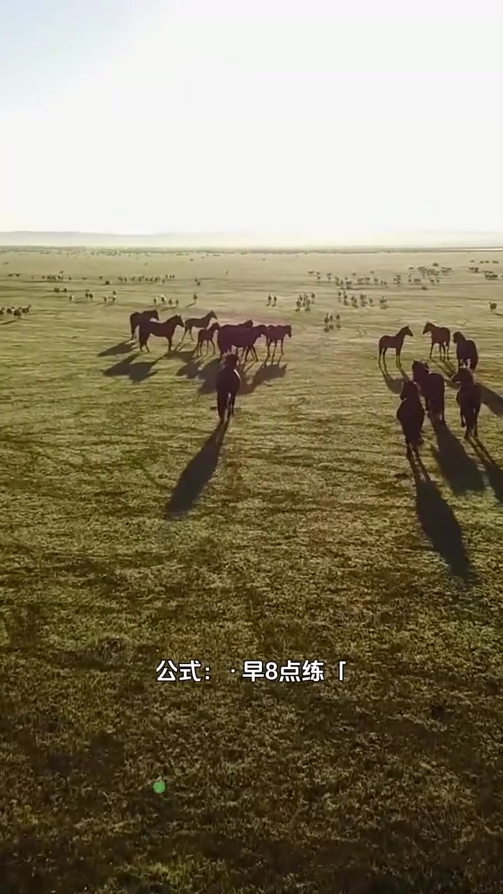 春困越睡越累、上火爆痘、腰腿像灌铅?清明后10天是「全年祛湿关键时刻」,4个要点抄近道养生