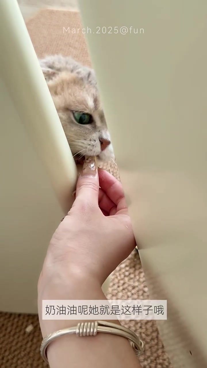 晚餐剪500克鸭心吃吃