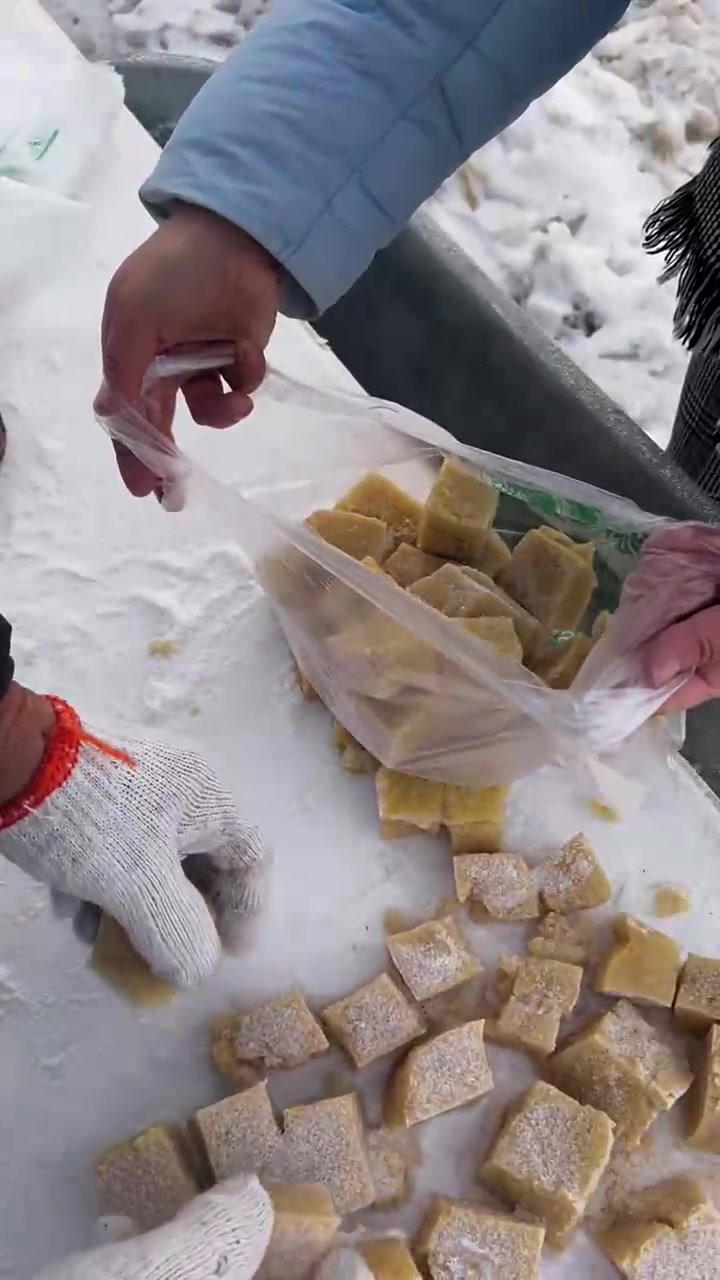 东北人对于囤冬菜到底有多疯狂,今天我家做冻豆腐