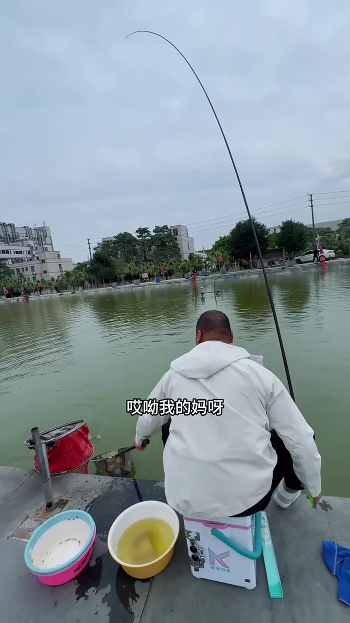 老板不是说无限回锅鱼吗 怎么那么饿