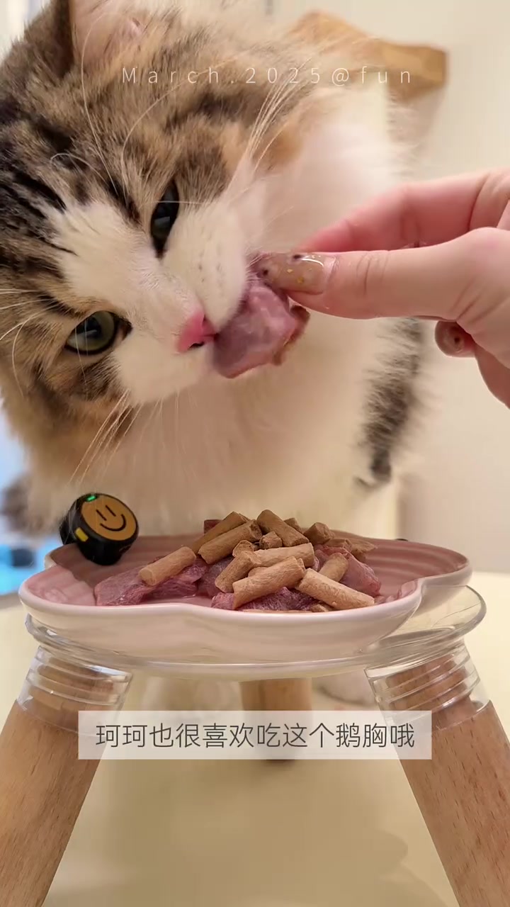 晚餐剪500克三花鹅胸吃吃